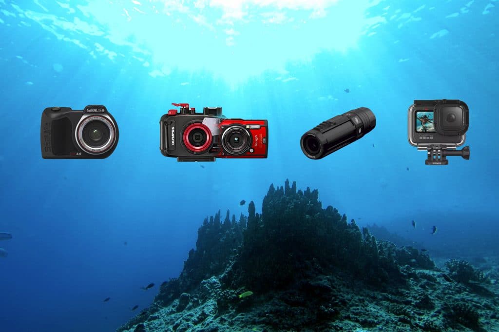 quel appareil photo pour la plongée sous-marine plongeurs padawan