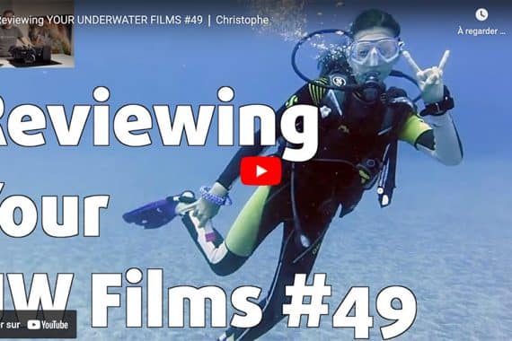 Matthias Lebo Reviewing your underwater films