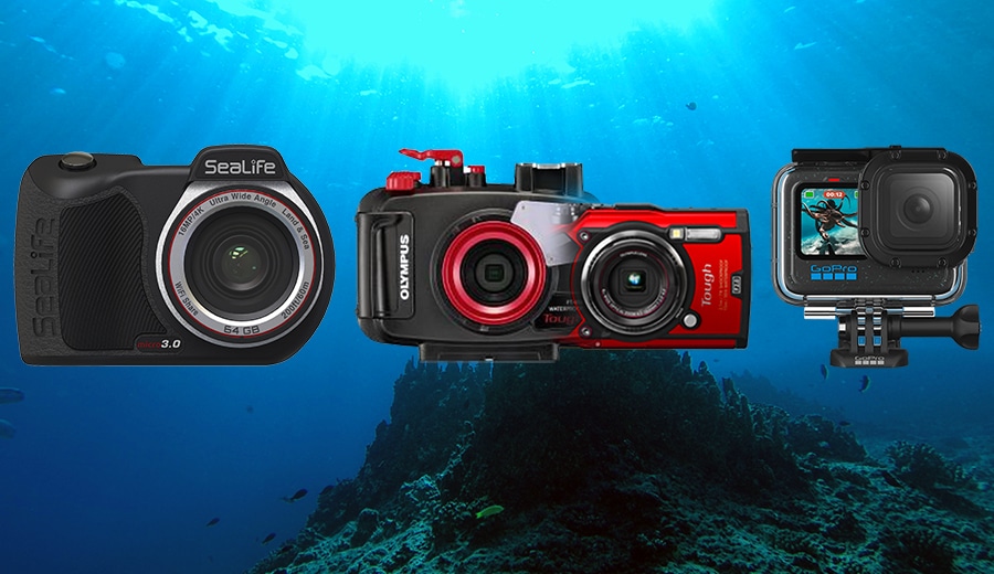 Meilleur appareil photo pour la plongée sous-marine