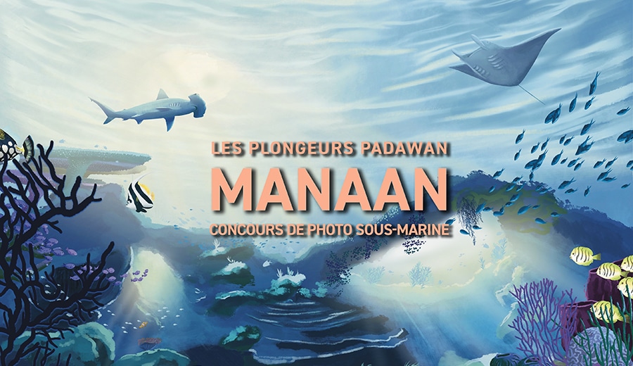 Concours photo Manaan Les Plongeurs Padawan